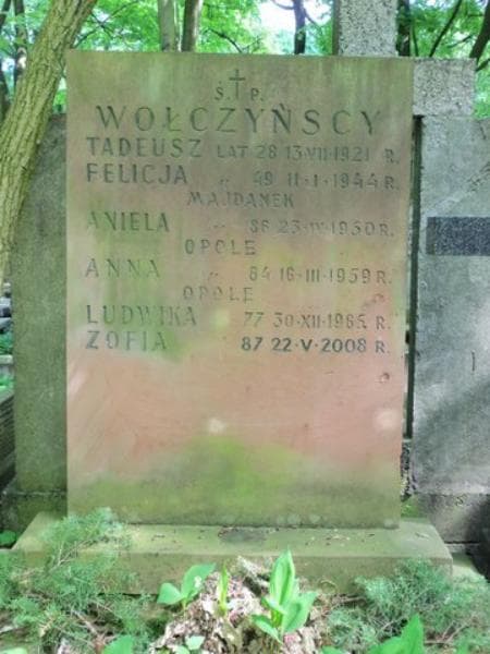 Zdjęcie grobu Zofia Wołczyńska (2)