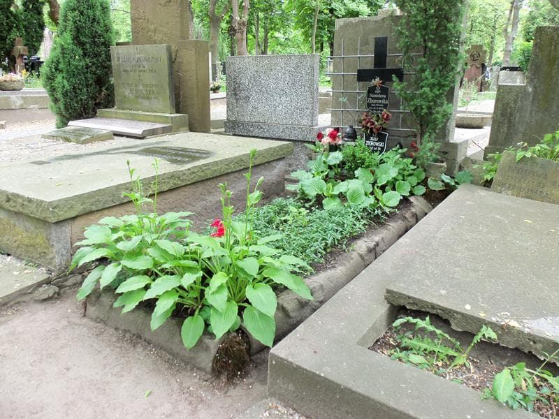 Zdjęcie grobu Józef Zborowski (1)