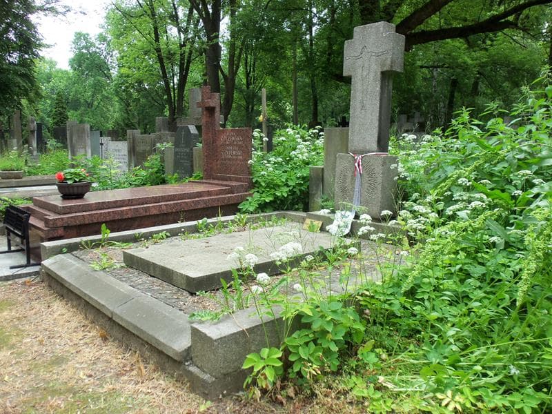 Zdjęcie grobu Józef Kusznierewicz (1)