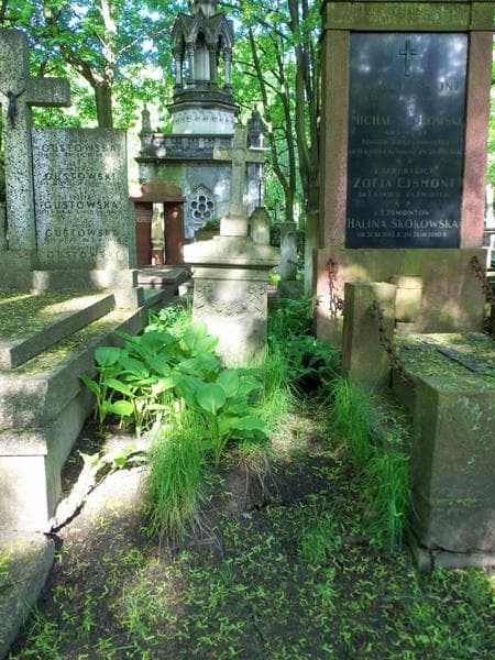 Zdjęcie grobu: Feliks Domaszowski