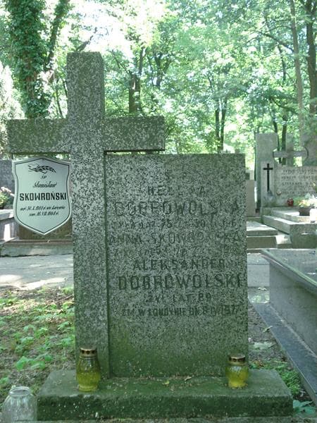Zdjęcie grobu Aleksander Dobrowolski (1)