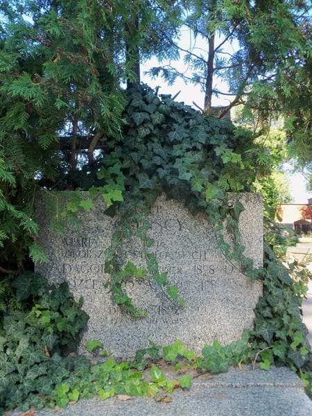 Zdjęcie grobu Andrzej Szymon Służewski (2)