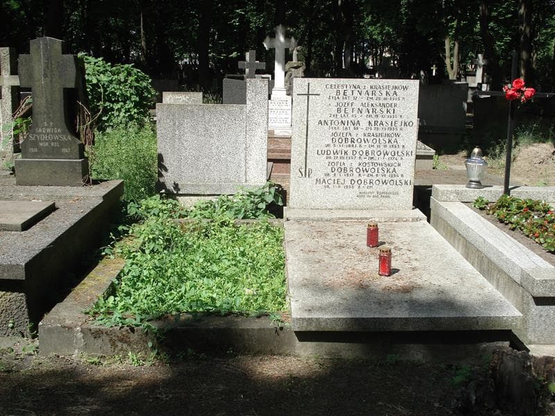 Zdjęcie grobu: Zofia Dobrowolska