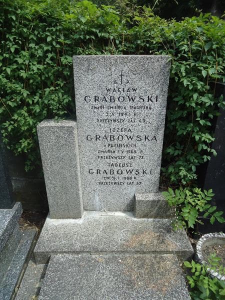 Zdjęcie grobu Józefa Grabowska (2)