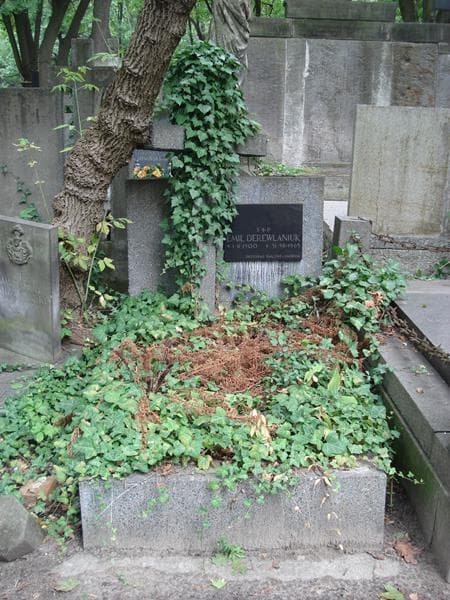 Zdjęcie grobu Emil Derewlaniuk (1)