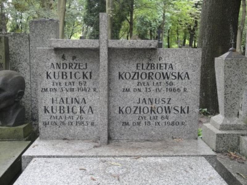 Zdjęcie grobu Andrzej Kubicki (2)