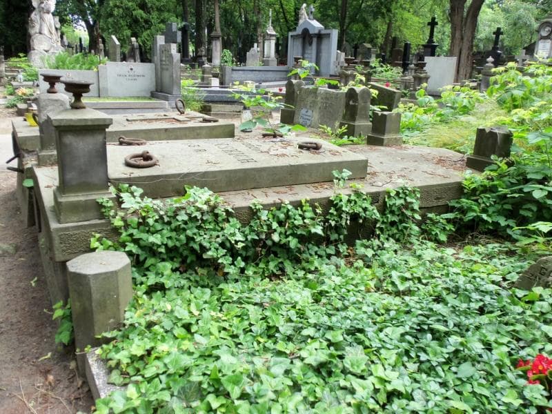 Zdjęcie grobu Okulińscy (1)