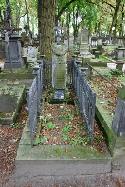 Zdjęcie grobu Broniś Janczewski (1)