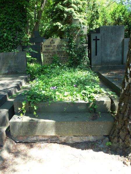 Zdjęcie grobu: Anna Czechowicz