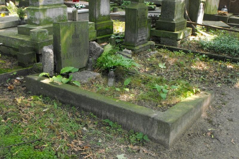 Zdjęcie grobu Janiccy (1)