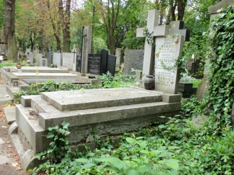 Zdjęcie grobu Antoni Rybus (1)