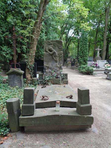 Zdjęcie grobu Habdank Stpiczyńscy (1)