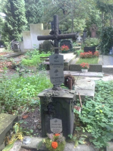 Zdjęcie grobu Jan Chrzanowski (1)
