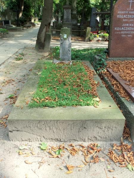 Zdjęcie grobu: Anna Lewińska