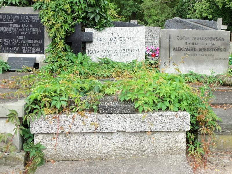 Zdjęcie grobu: Katarzyna Dzięcioł