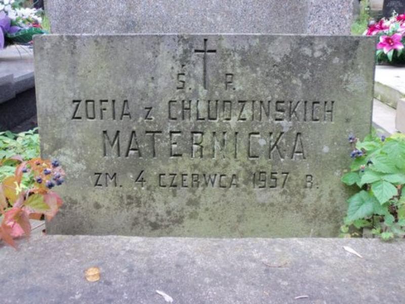 Zdjęcie grobu Zofia Maternicka (2)