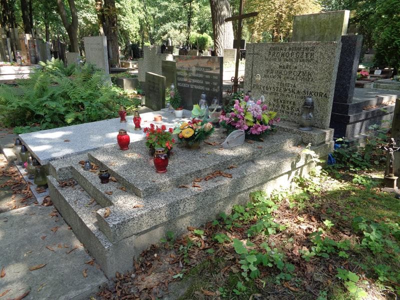 Zdjęcie grobu: Felicja Przybyszewska-Sikora