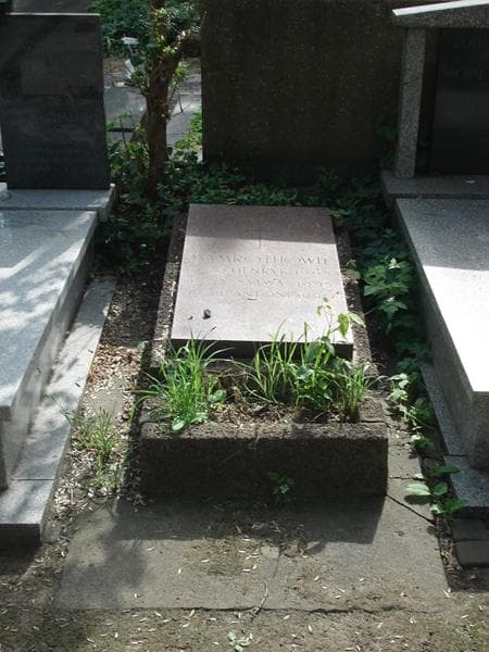 Zdjęcie grobu: Henryk Mamroth