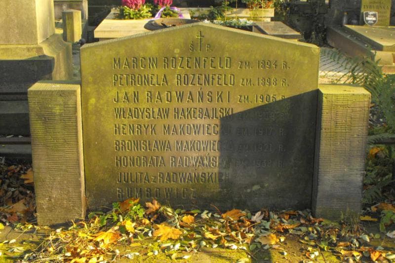 Zdjęcie grobu Henryk Makowiecki (2)