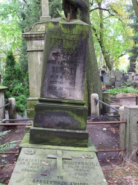 Zdjęcie grobu Józef Budynowicz (2)