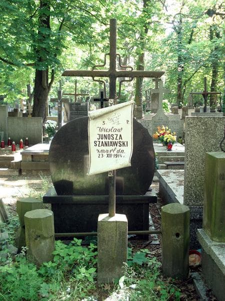 Zdjęcie grobu Wiesław Junosza Szaniawski (1)