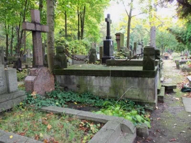 Zdjęcie grobu Damazy Jerzmanowski (1)