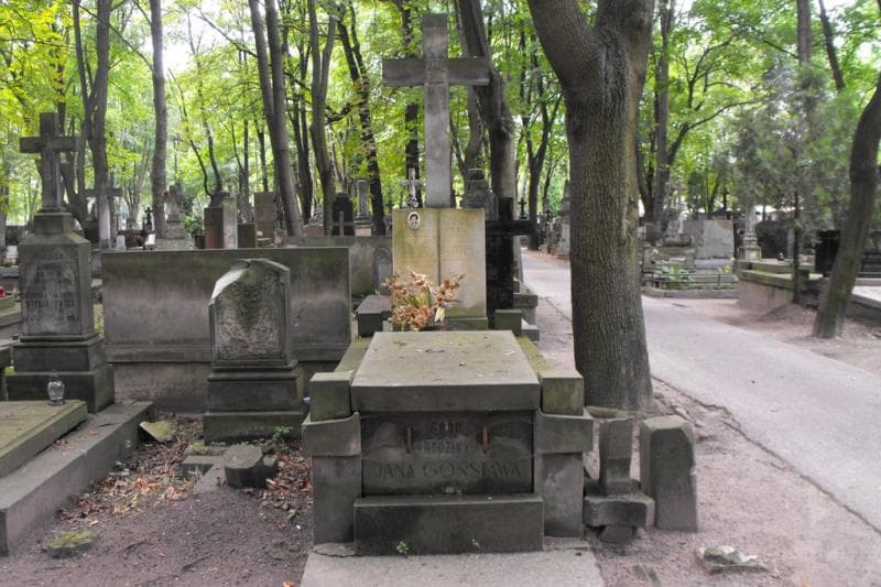 Zdjęcie grobu Aniela Gonstaw (1)