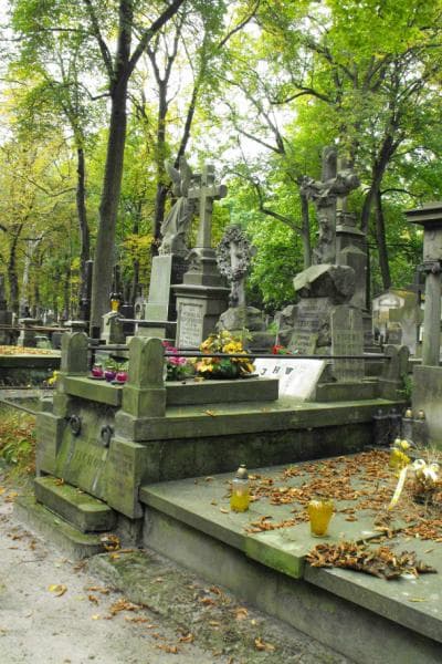 Zdjęcie grobu Anna Stiche (1)