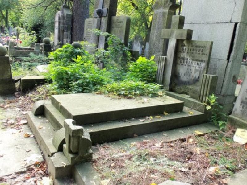 Zdjęcie grobu Maria Defińska (1)
