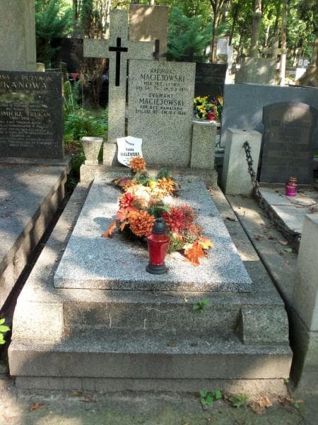 Zdjęcie grobu: Kazimierz Maciejowski