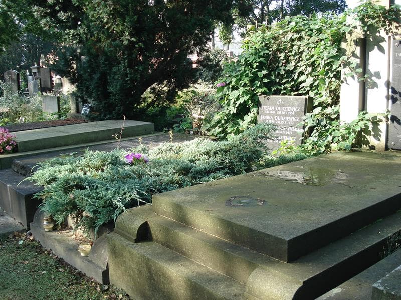 Zdjęcie grobu Janina Dudziewicz (1)
