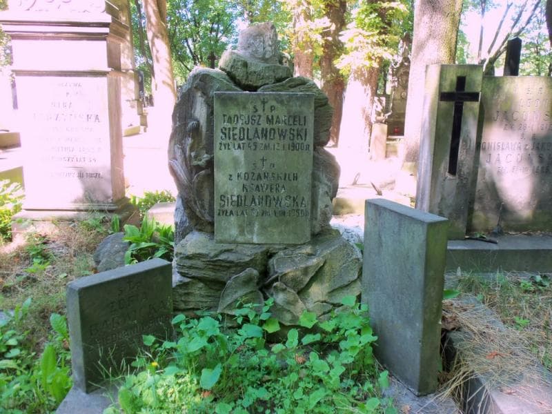 Zdjęcie grobu Zofia Barwicka (2)