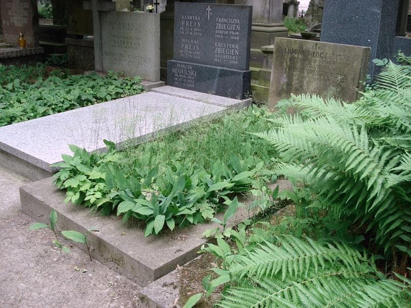 Zdjęcie grobu: Antoni Włoczewski