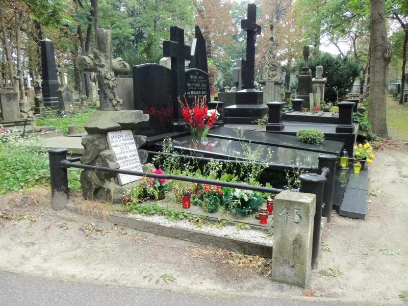 Zdjęcie grobu Janina Trzetrzewińska (1)