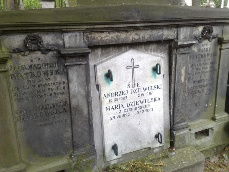 Zdjęcie grobu Balbina Piątkowska (2)