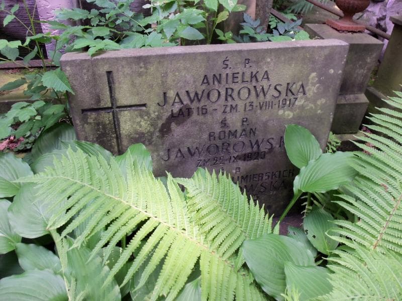 Zdjęcie grobu Felicja Jaworowska (2)