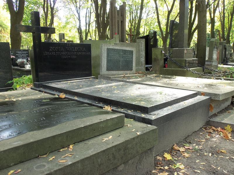 Zdjęcie grobu Zofia Walecka (1)