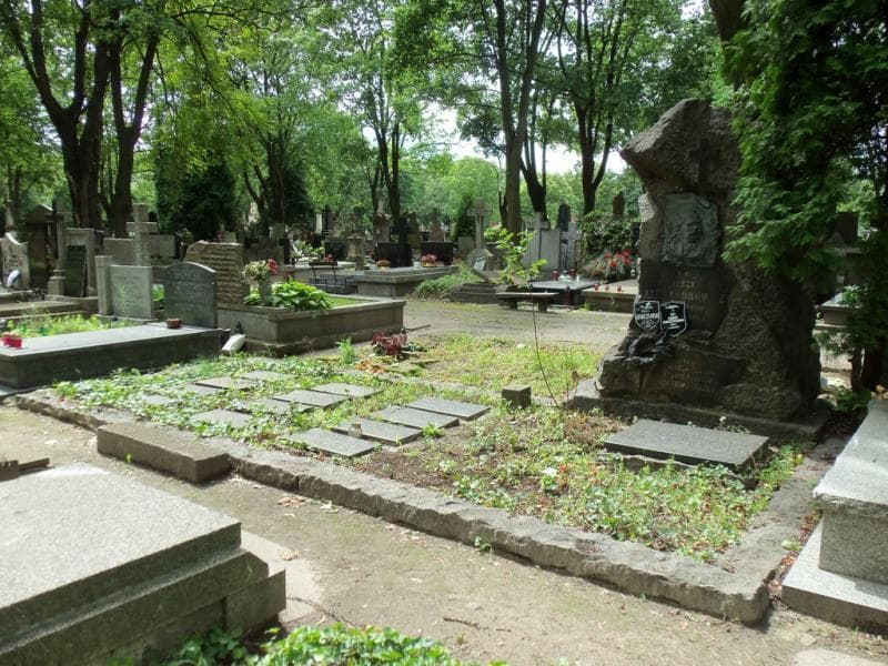 Zdjęcie grobu Zofja Alexandrowicz (2)