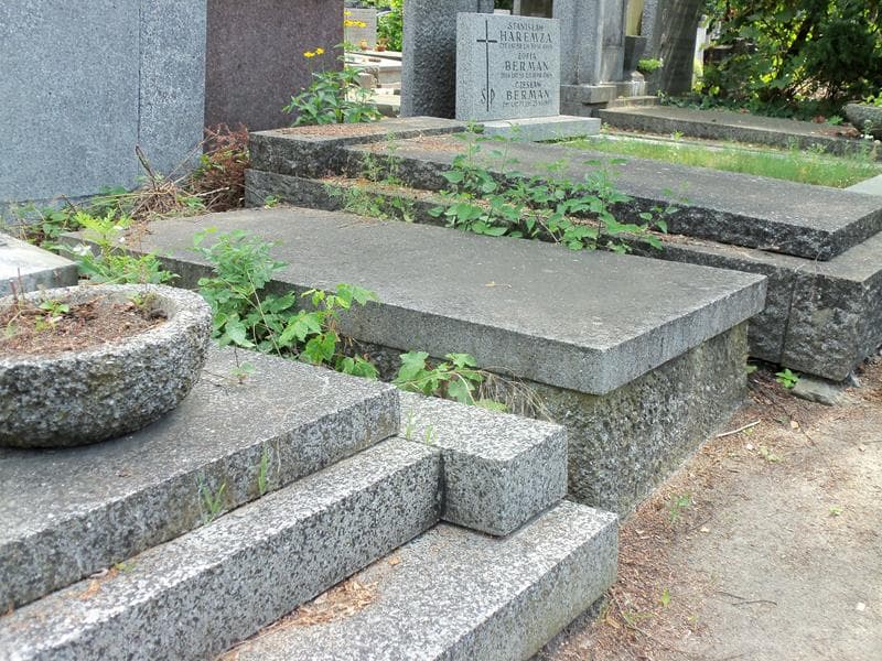 Zdjęcie grobu Włodzimierz Goldman (1)