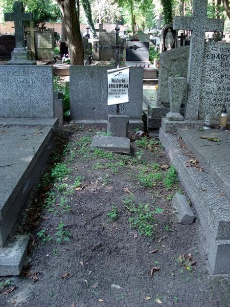 Zdjęcie grobu Wiktoria Żmijewska (1)