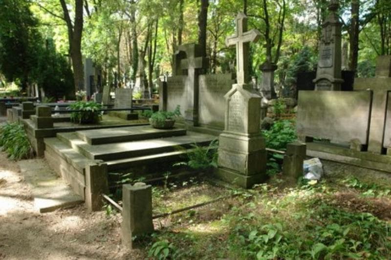 Zdjęcie grobu Michalina Wasilewska (1)