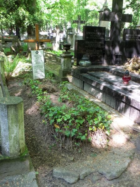 Zdjęcie grobu Kazimierz Lewenstam (1)