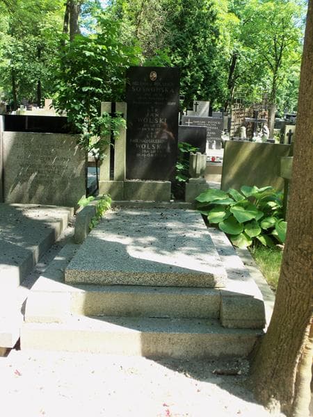 Zdjęcie grobu: Jan Wolski