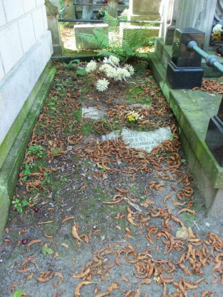 Zdjęcie grobu: Józef Markowski