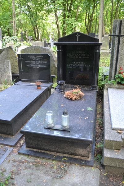 Zdjęcie grobu Kazimierz Krzyżanowski (1)