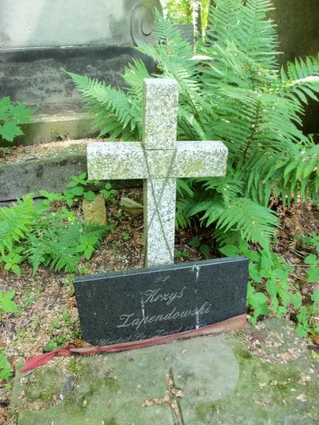 Zdjęcie grobu Magdalena Jarnowska (2)