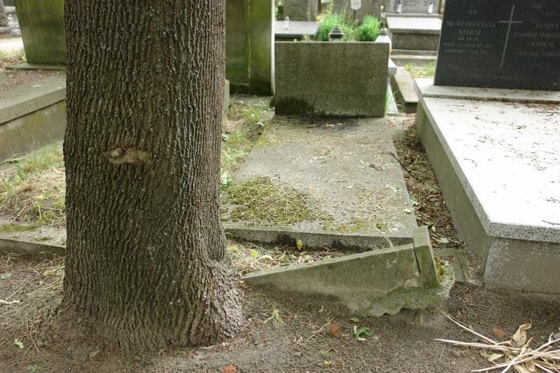 Zdjęcie grobu Helena Czyżewska (1)