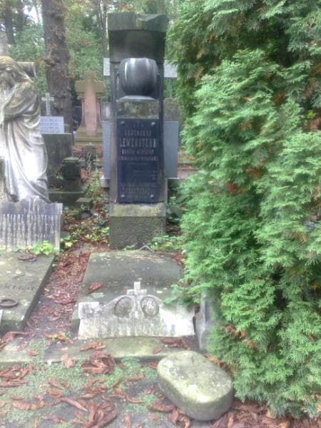 Zdjęcie grobu Eugenjusz Lewenstern (2)