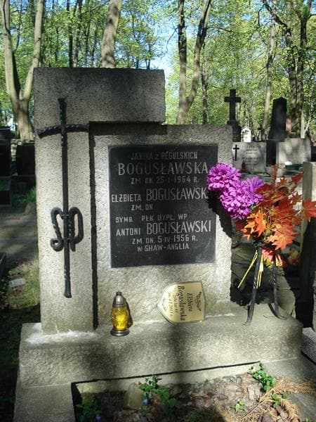 Zdjęcie grobu Janina Bogusławska (1)