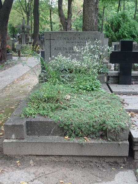 Zdjęcie grobu: Alicja Irena Jasińska